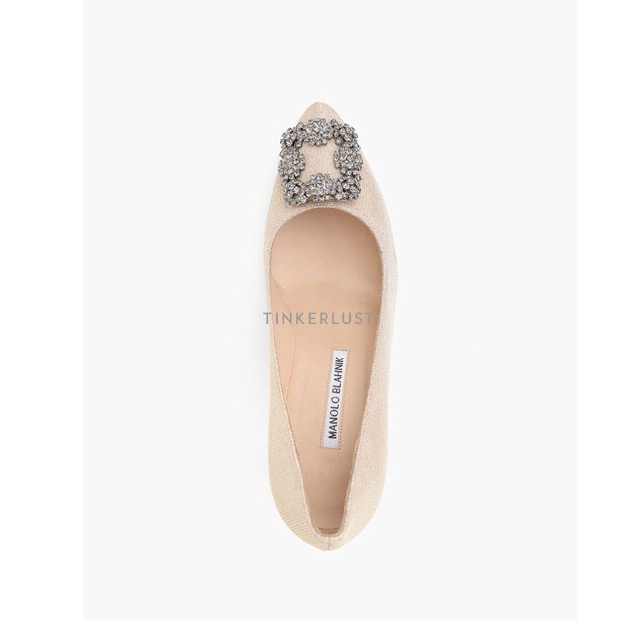 Manolo Blahnik Hangisi 7cm Pumps in Beige Glittered with Dark Crystal