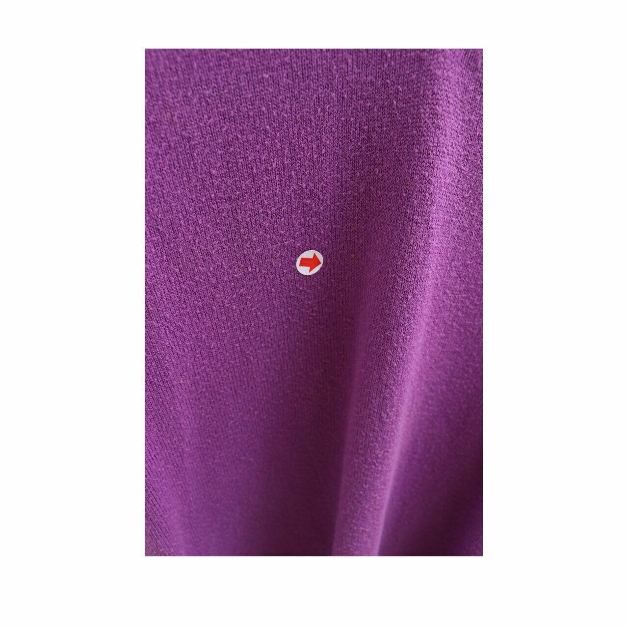 Zara Purple V- Neck Sweater