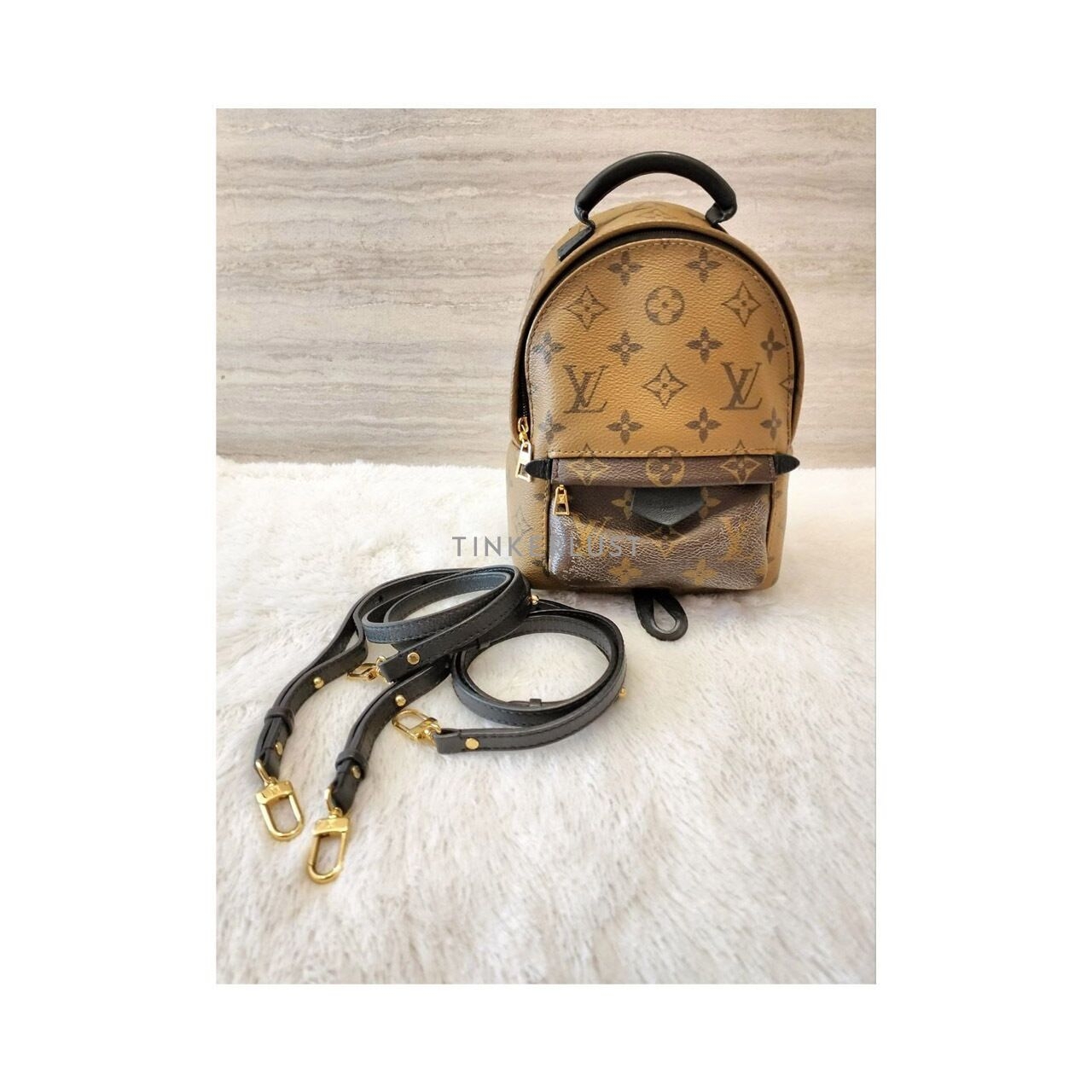 Louis Vuitton Mini Palmspring Monogram Reverse 2017 Backpack