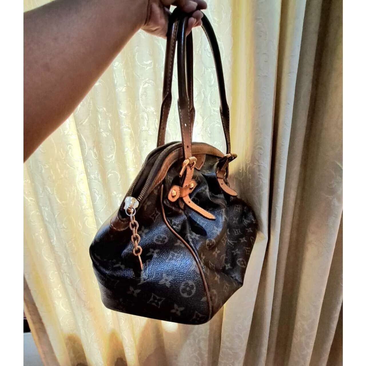 Louis Vuitton Brown Handbag