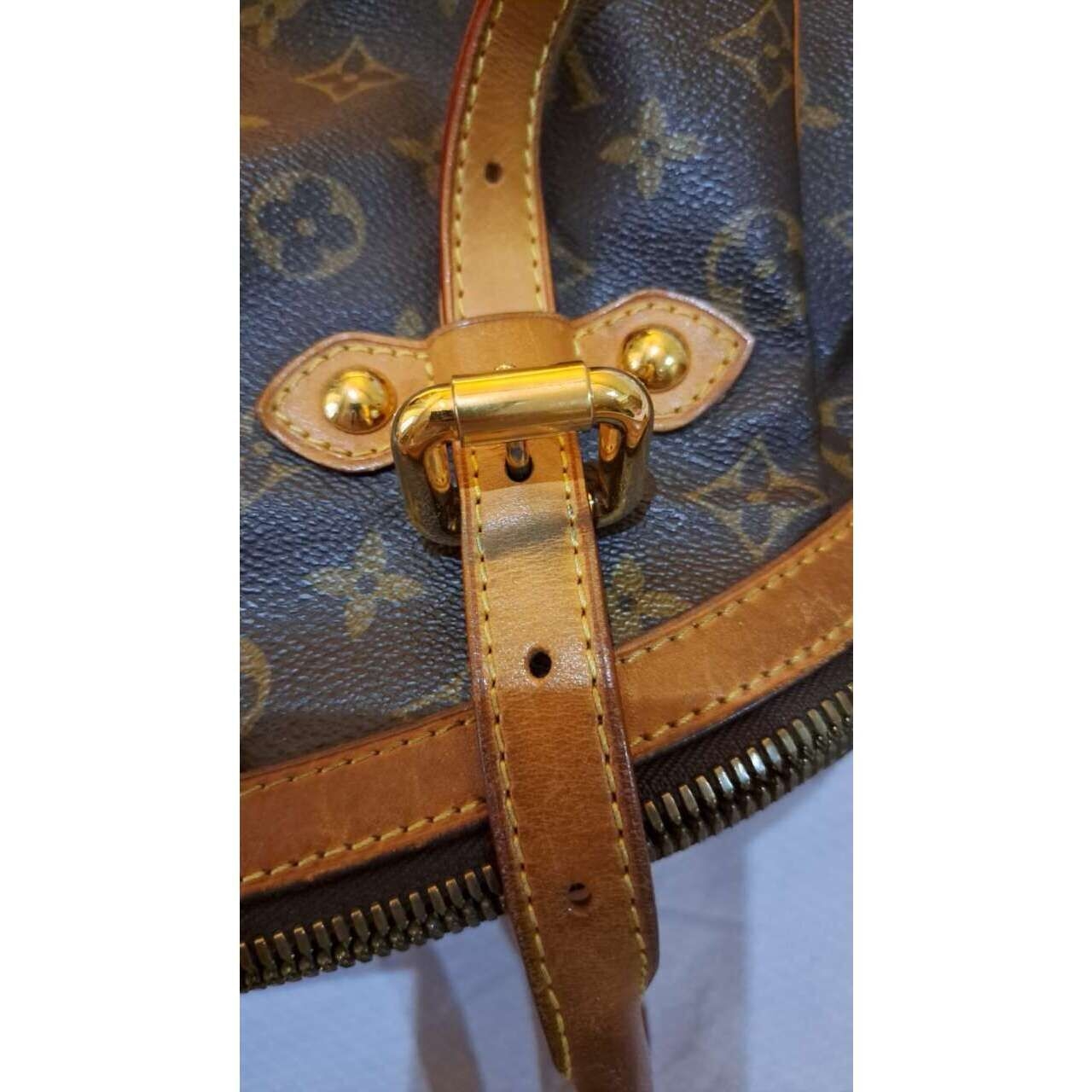 Louis Vuitton Brown Handbag