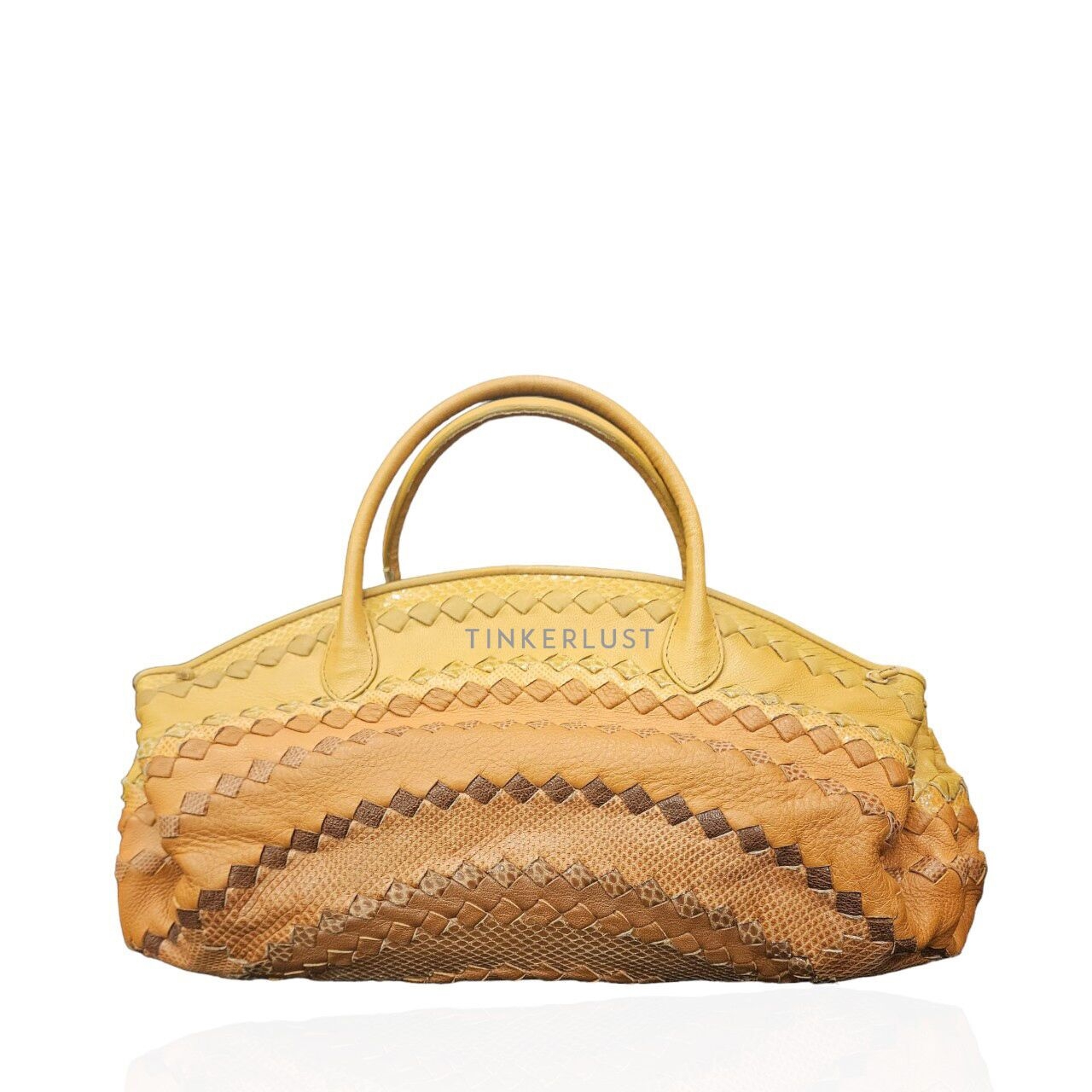 Bottega Veneta Woven Multicolor 2008 Handbag