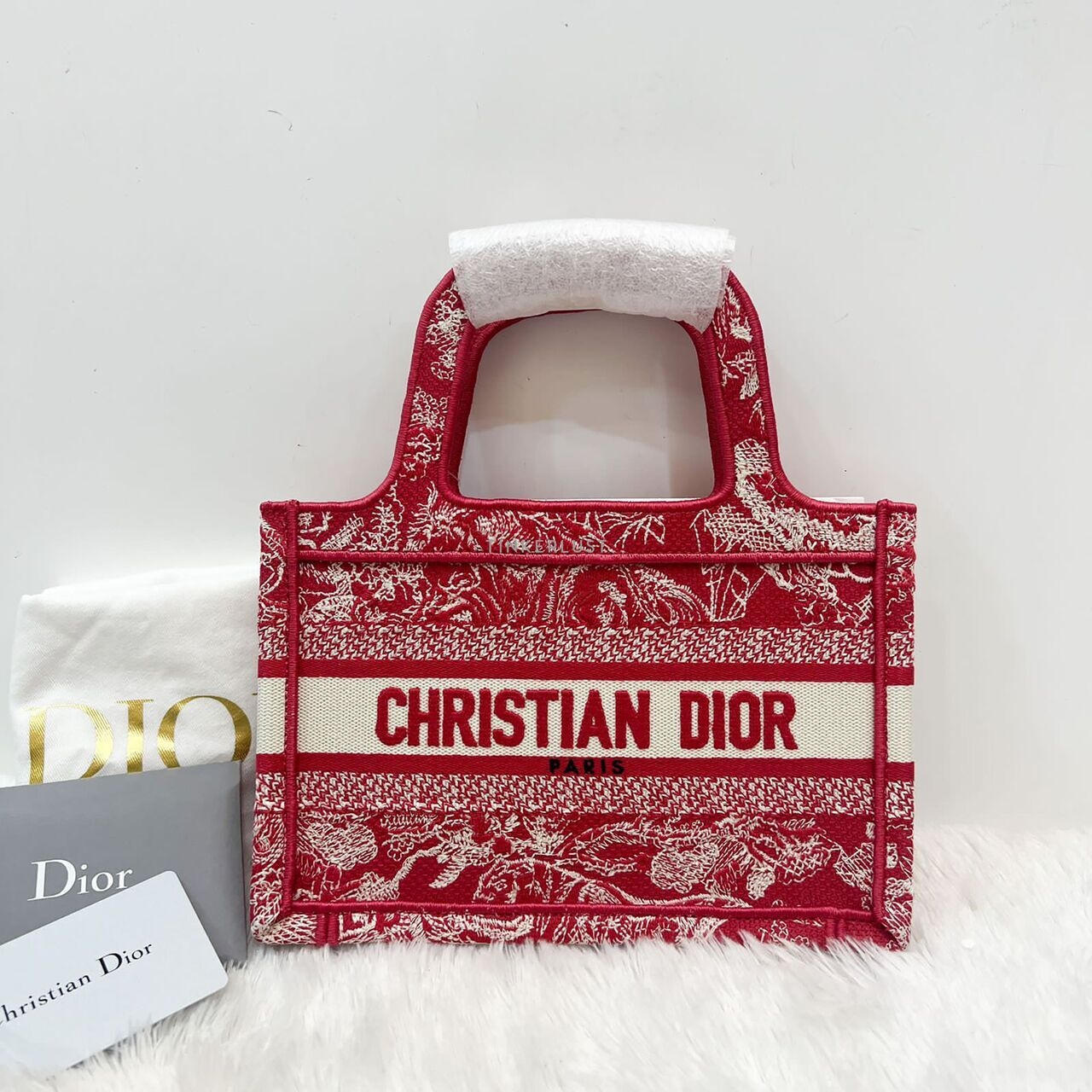 Christian Dior Book Tote Mini Red Embroidered Canvas 2021 Tote Bag