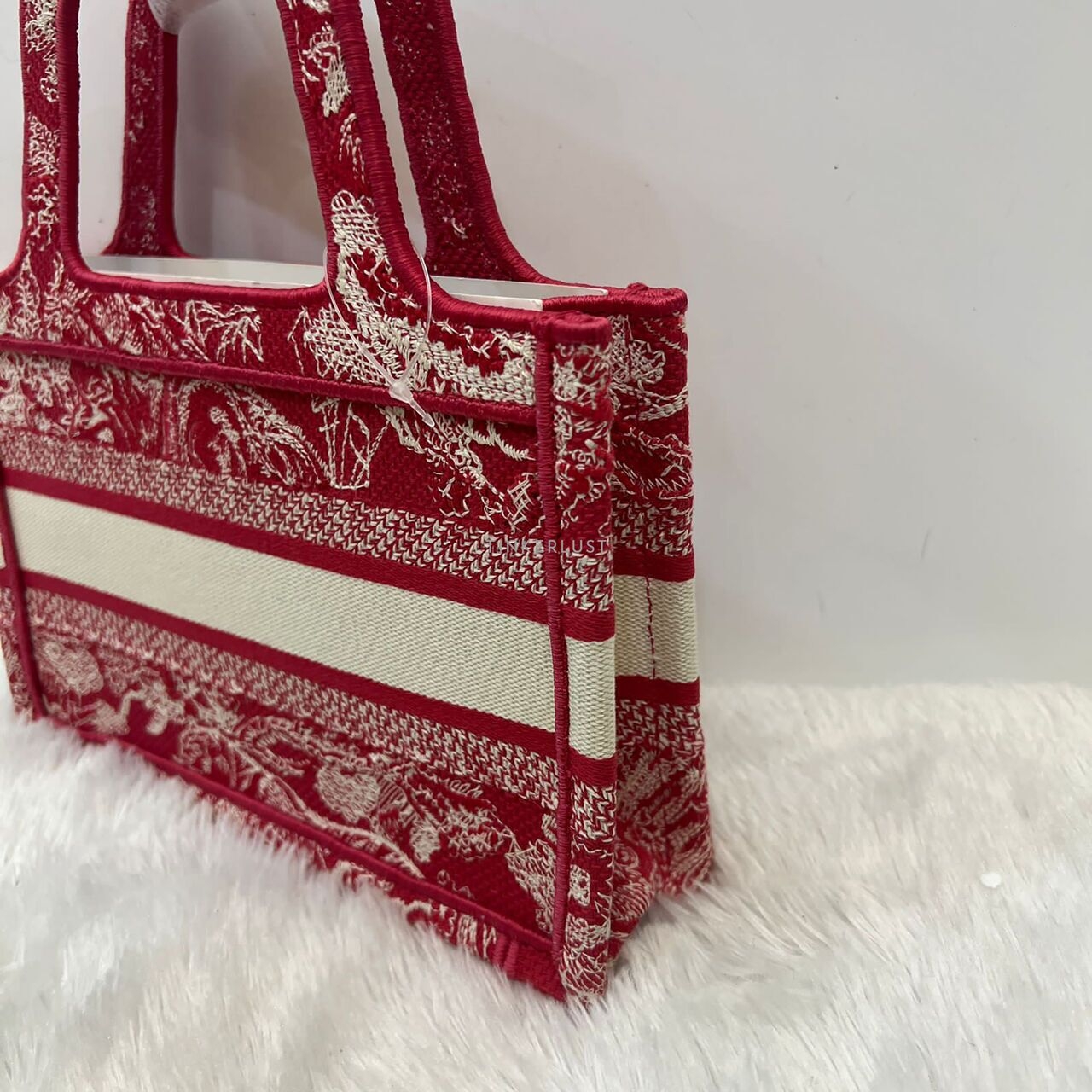 Christian Dior Book Tote Mini Red Embroidered Canvas 2021 Tote Bag