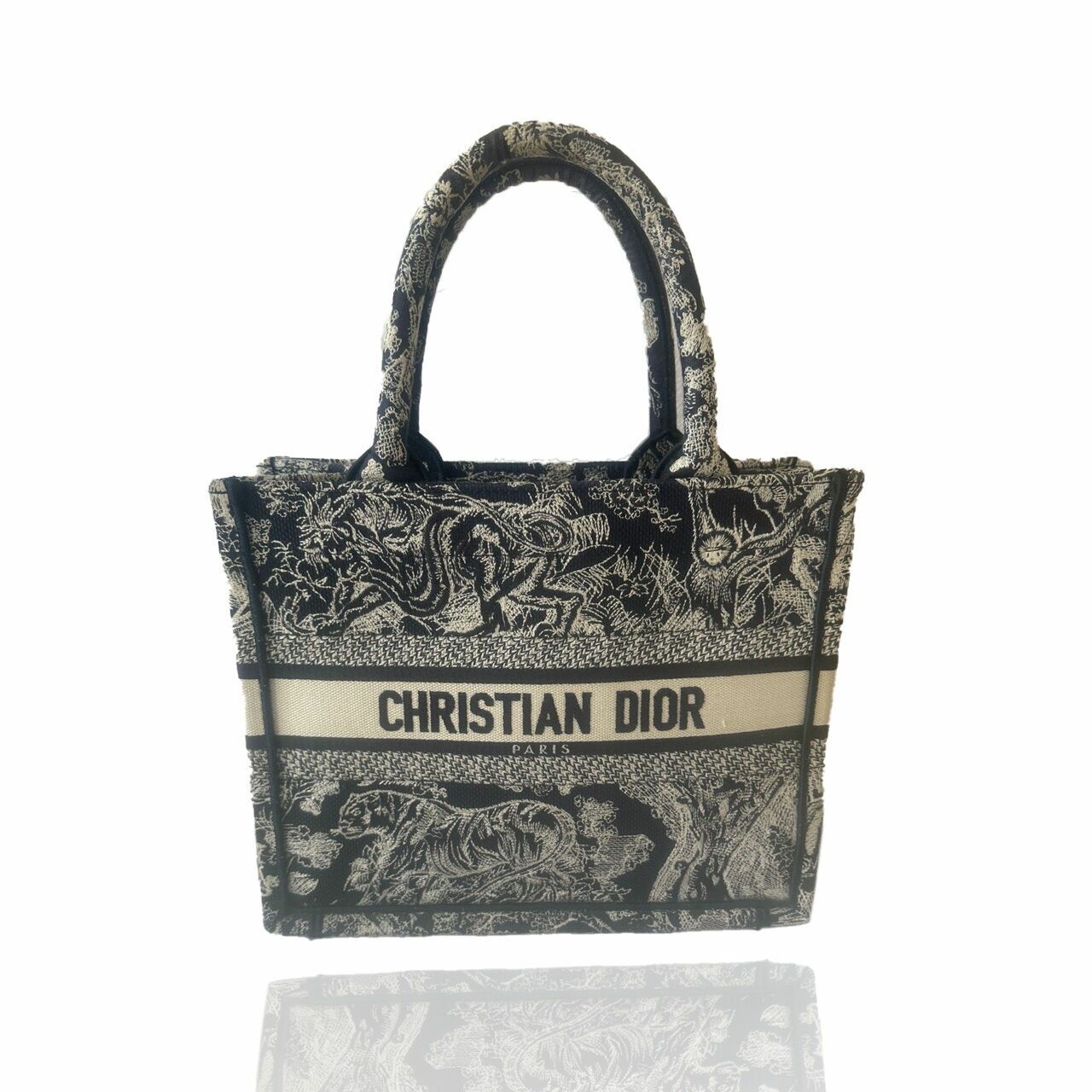 Christian Dior Book Tote 2022