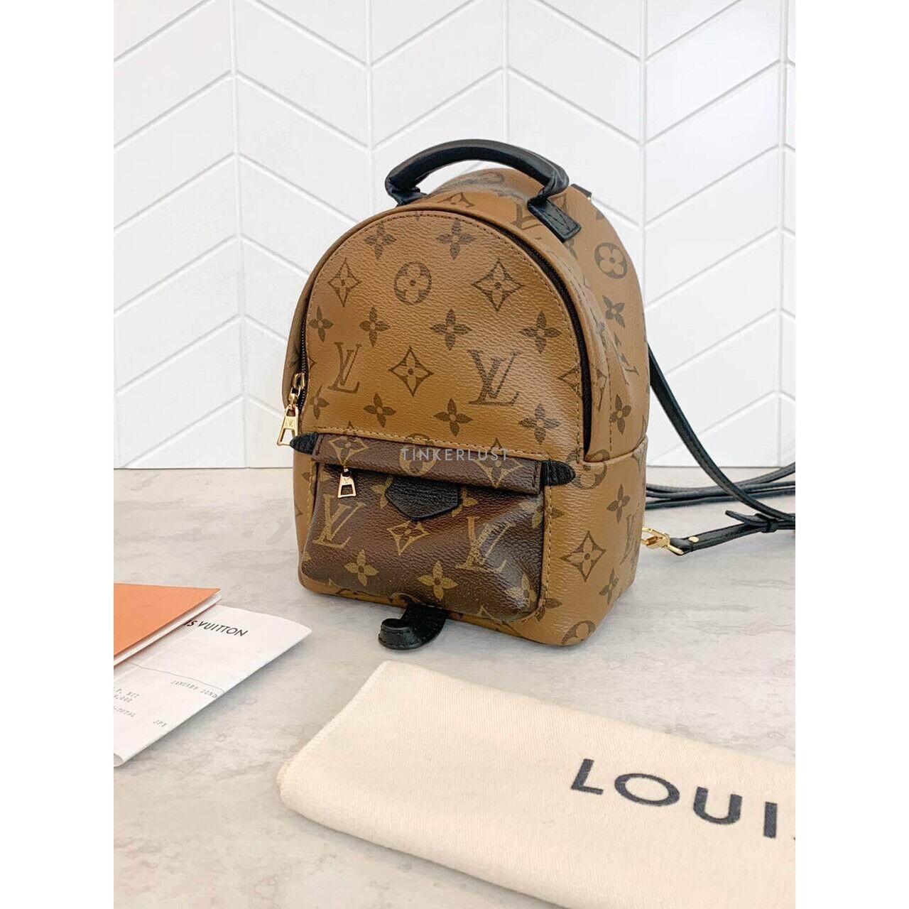 Louis Vuitton Palm Springs Mini Reverse 2019 Backpack