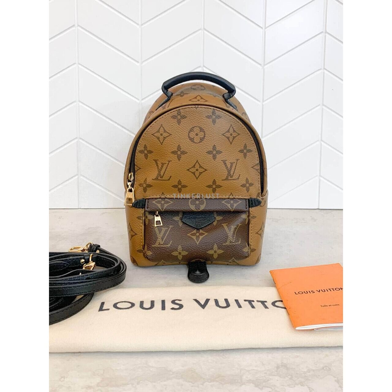 Louis Vuitton Palm Springs Mini Reverse 2019 Backpack