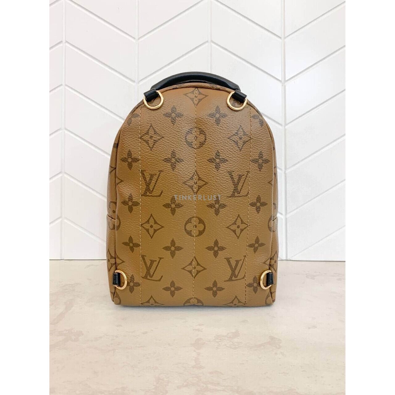 Louis Vuitton Palm Springs Mini Reverse 2019 Backpack