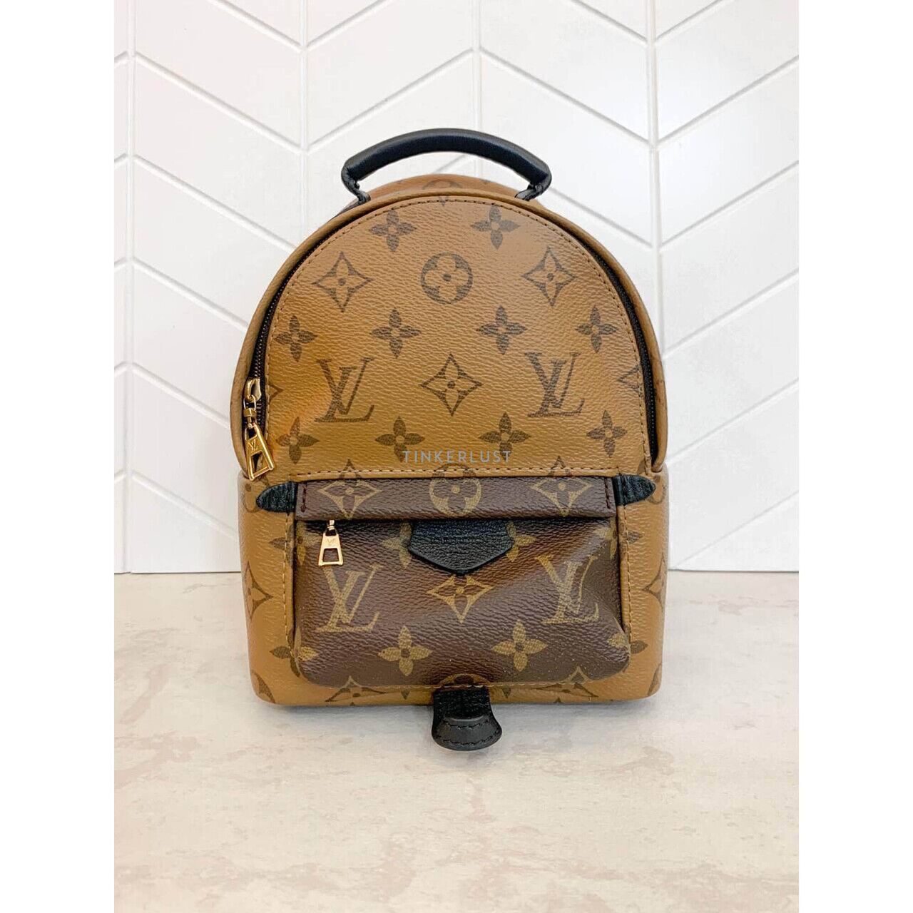 Louis Vuitton Palm Springs Mini Reverse 2019 Backpack