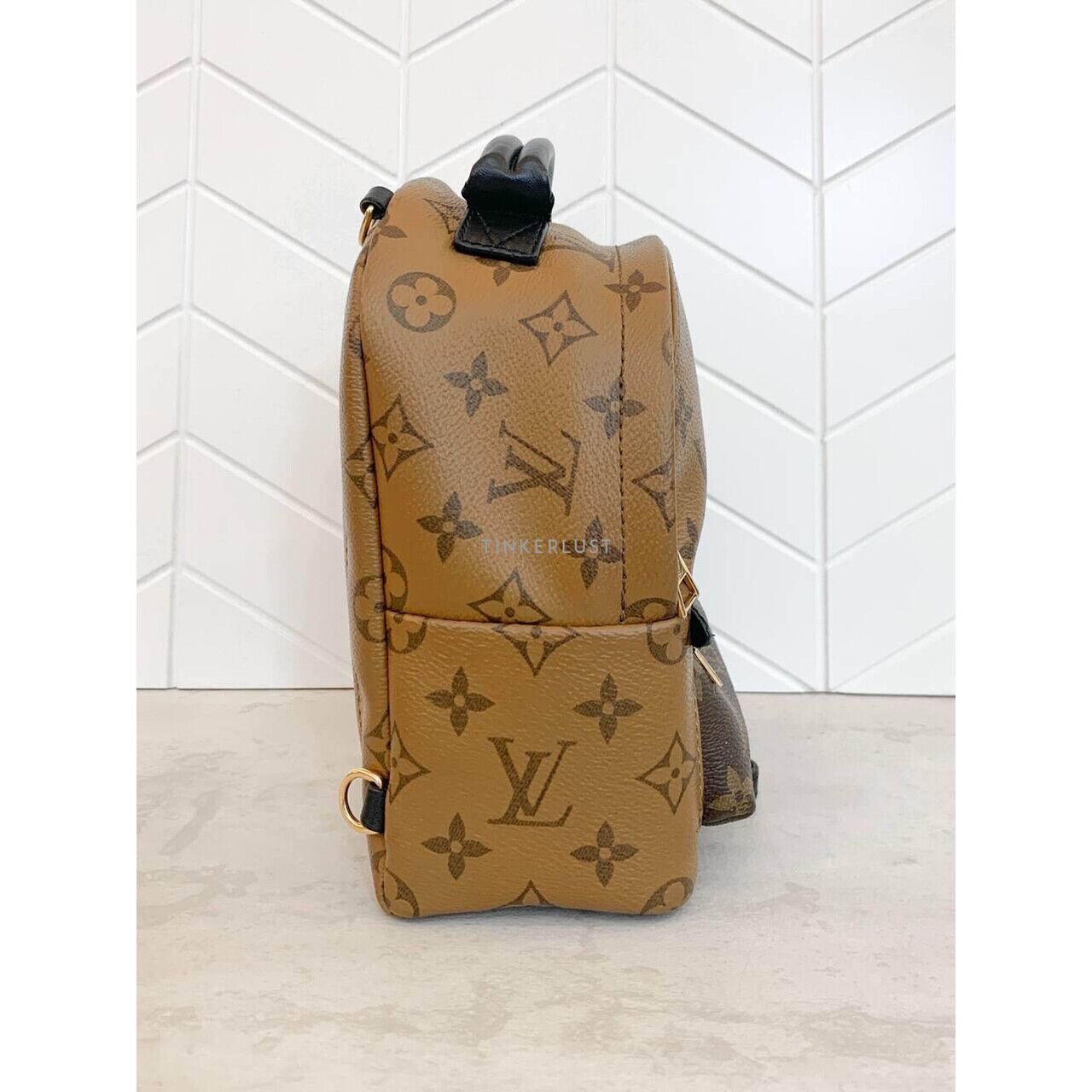 Louis Vuitton Palm Springs Mini Reverse 2019 Backpack