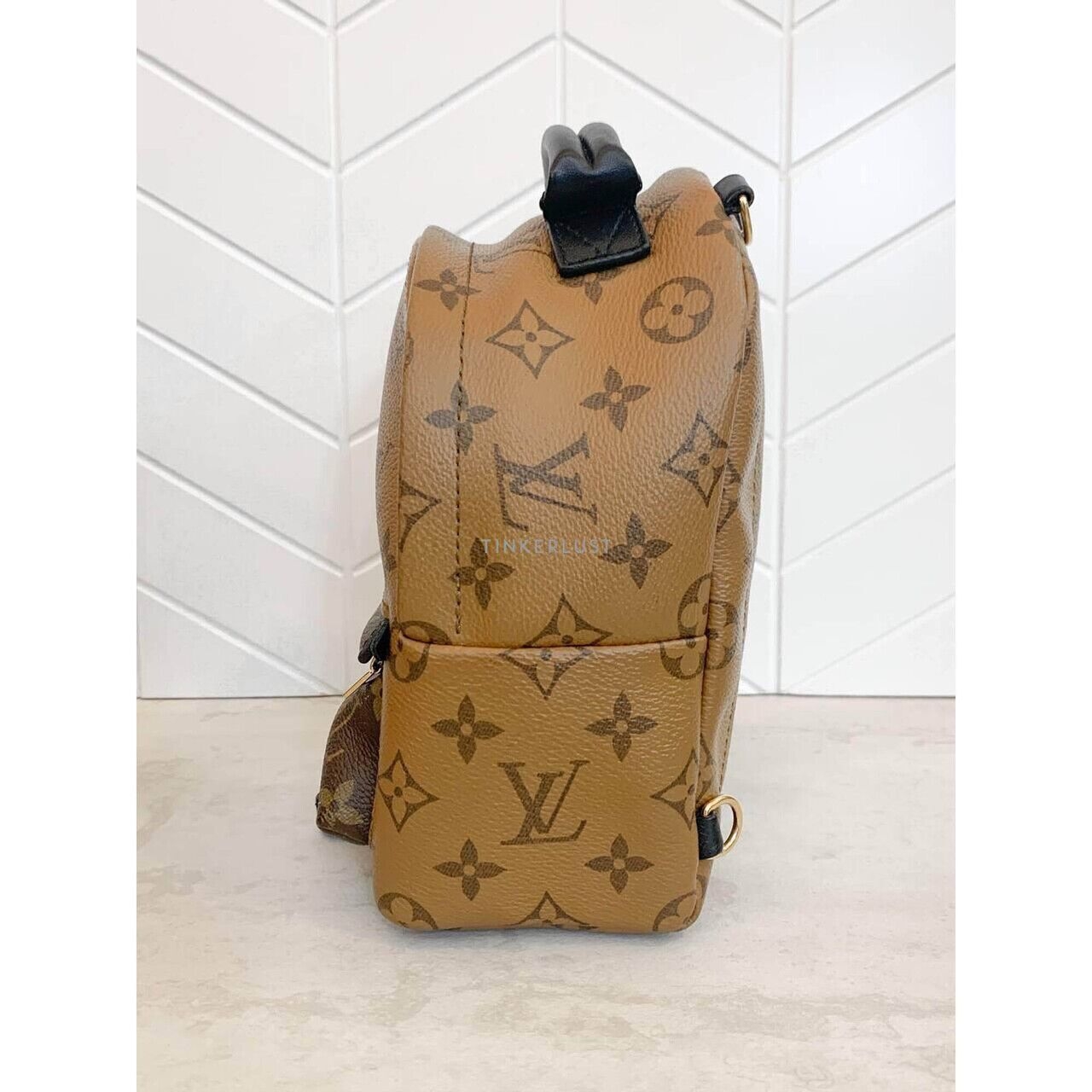 Louis Vuitton Palm Springs Mini Reverse 2019 Backpack