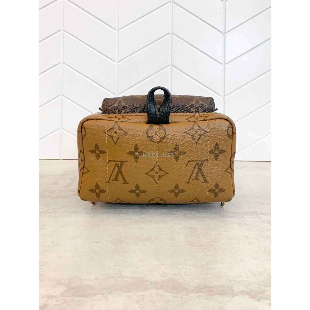 Louis Vuitton Palm Springs Mini Reverse 2019 Backpack