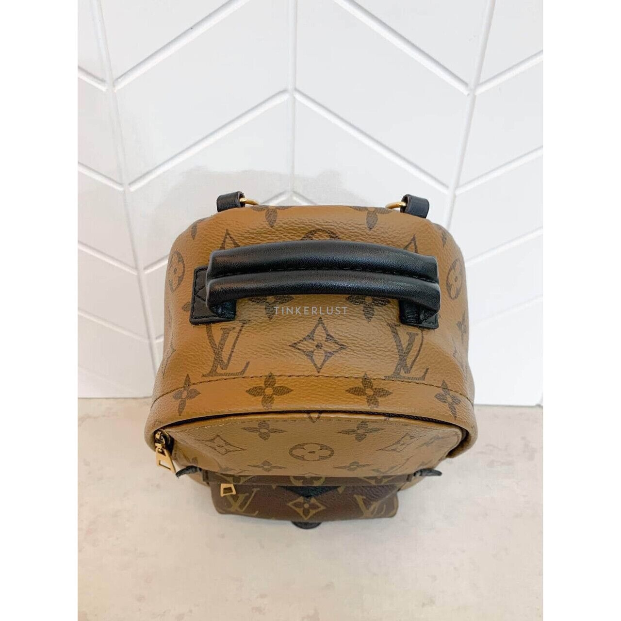 Louis Vuitton Palm Springs Mini Reverse 2019 Backpack