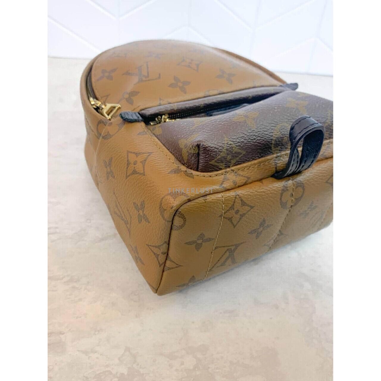 Louis Vuitton Palm Springs Mini Reverse 2019 Backpack