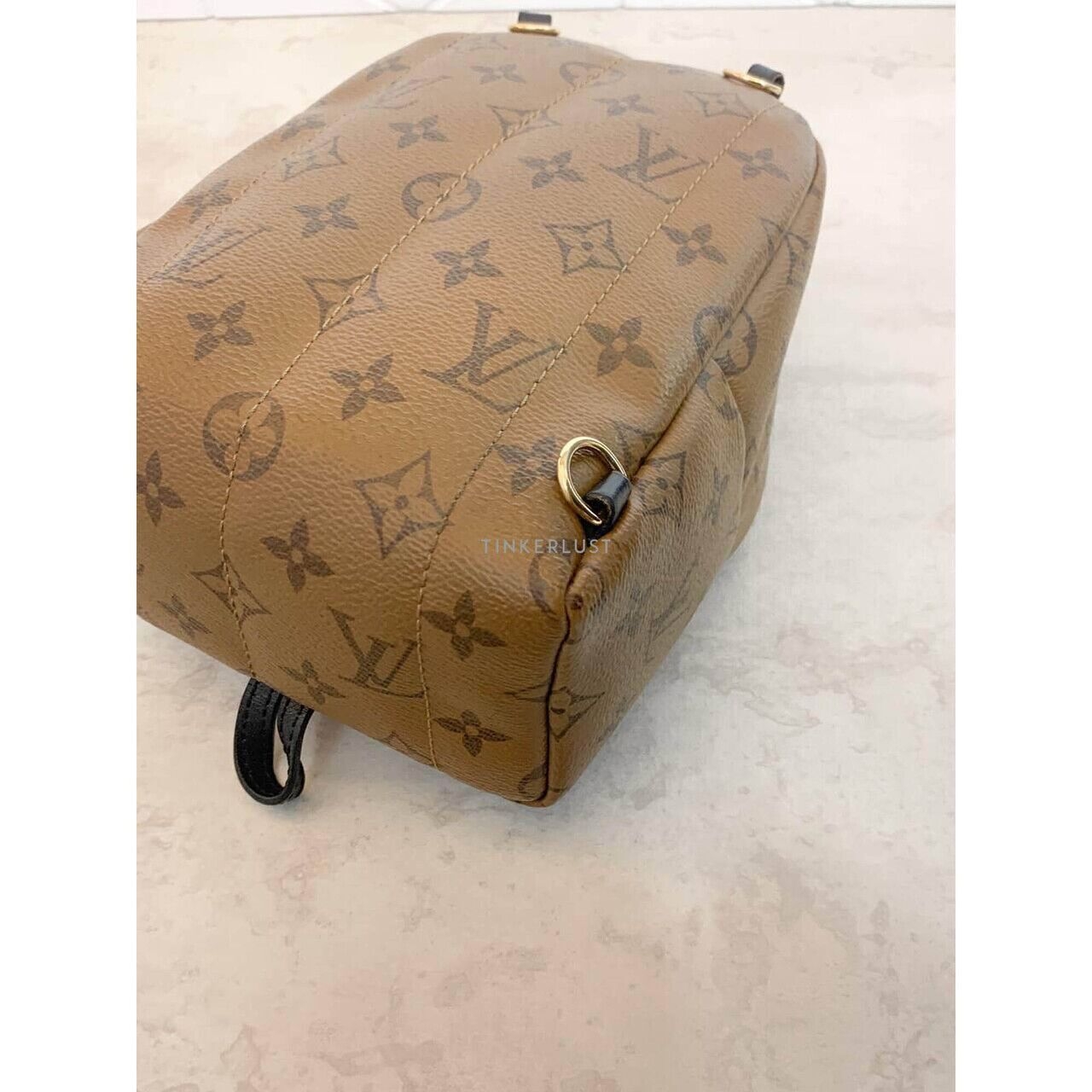 Louis Vuitton Palm Springs Mini Reverse 2019 Backpack