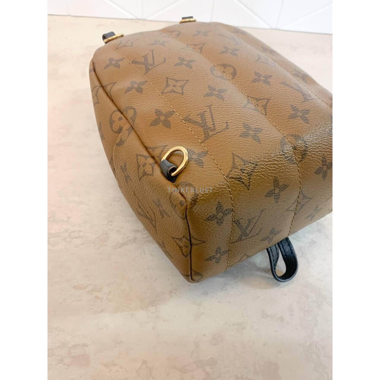 Louis Vuitton Palm Springs Mini Reverse 2019 Backpack