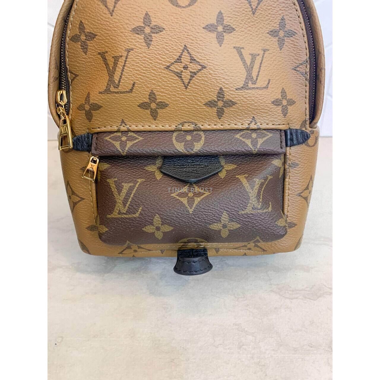 Louis Vuitton Palm Springs Mini Reverse 2019 Backpack