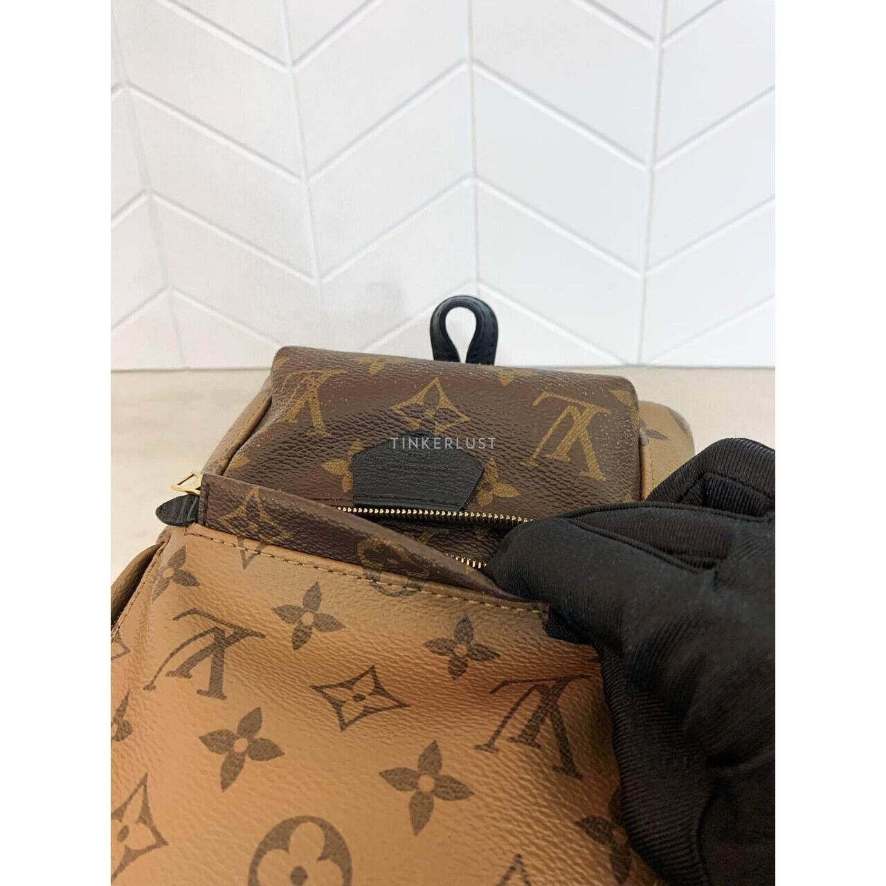 Louis Vuitton Palm Springs Mini Reverse 2019 Backpack