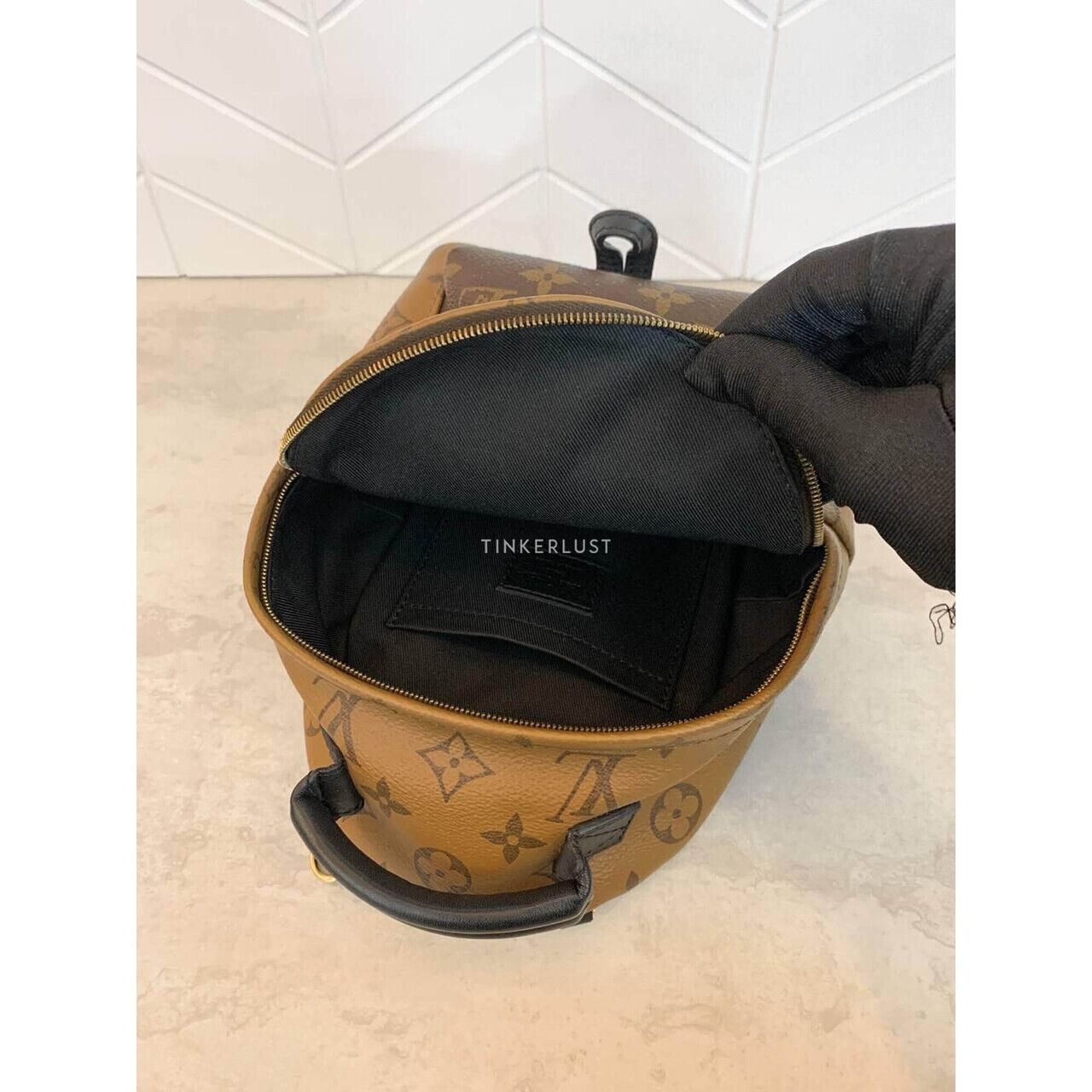 Louis Vuitton Palm Springs Mini Reverse 2019 Backpack