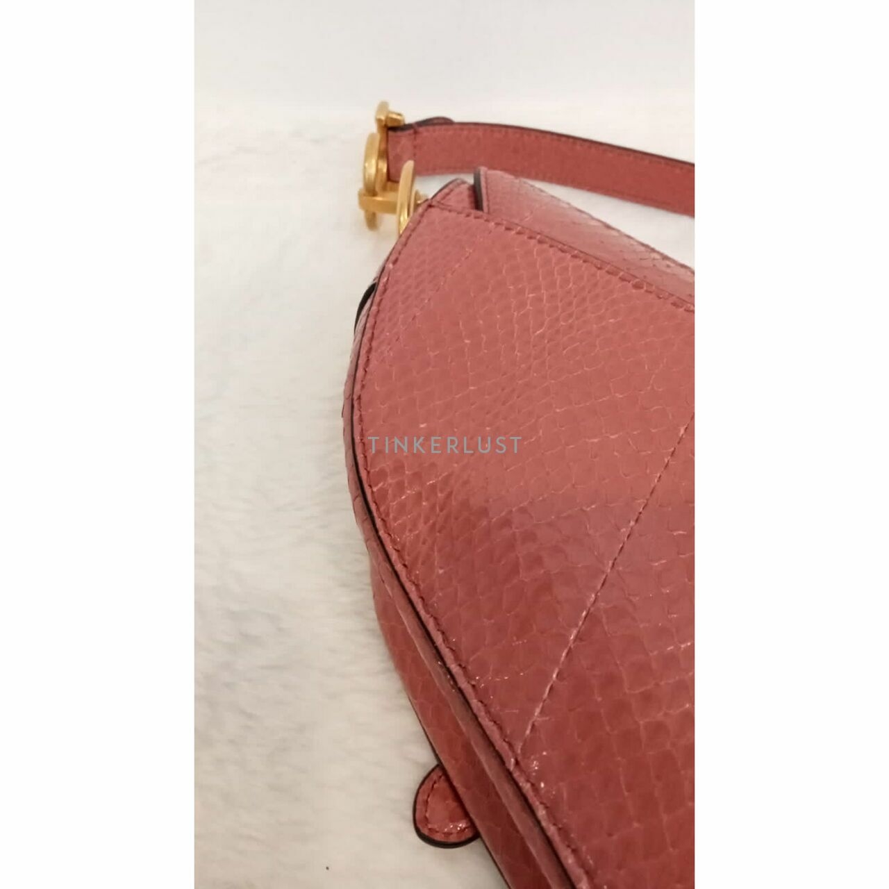 Christian Dior Saddle Medium Snakeskin 2019 Shoulder Bag