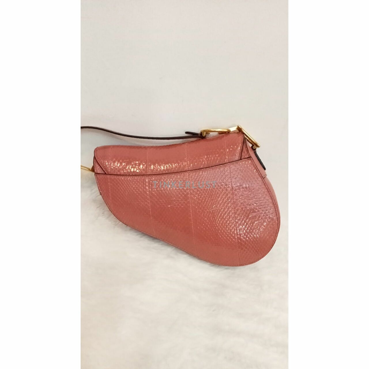 Christian Dior Saddle Medium Snakeskin 2019 Shoulder Bag