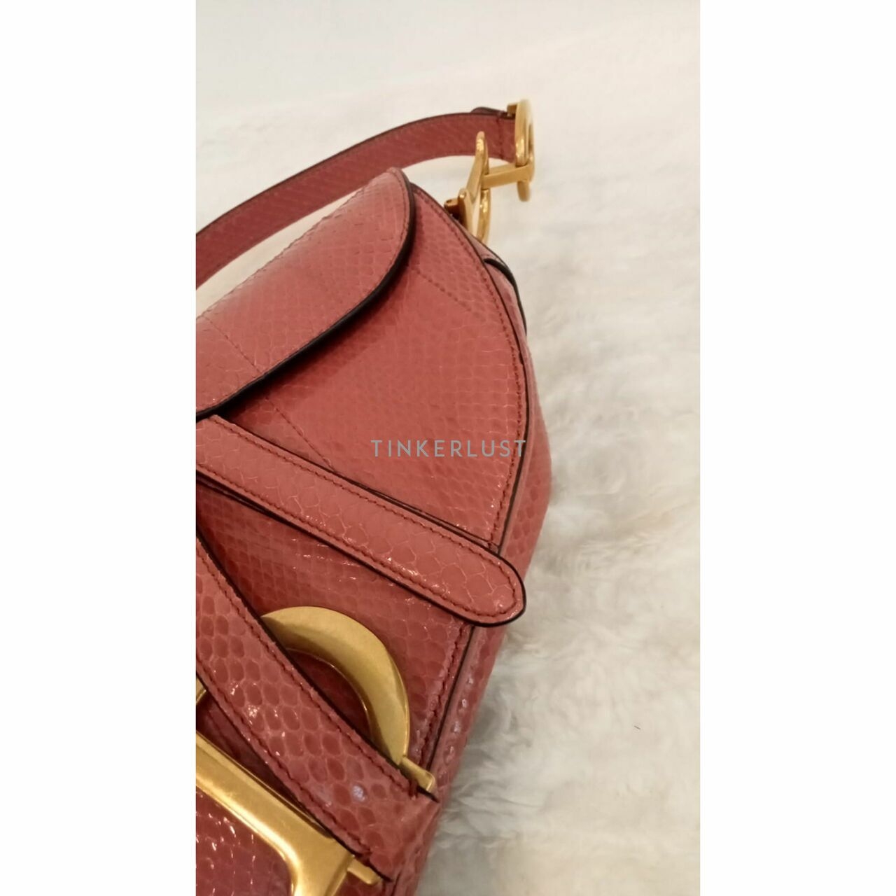 Christian Dior Saddle Medium Snakeskin 2019 Shoulder Bag