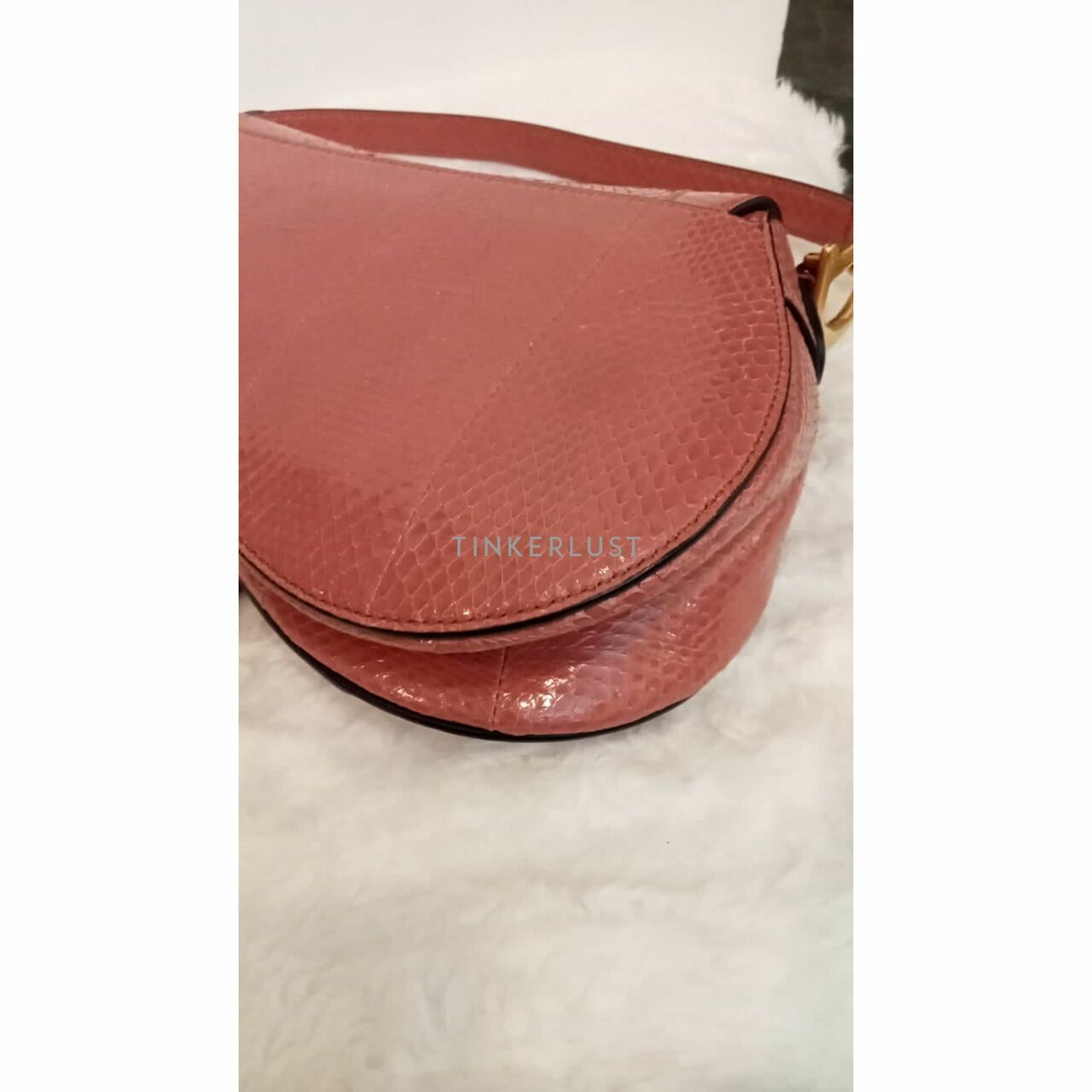 Christian Dior Saddle Medium Snakeskin 2019 Shoulder Bag