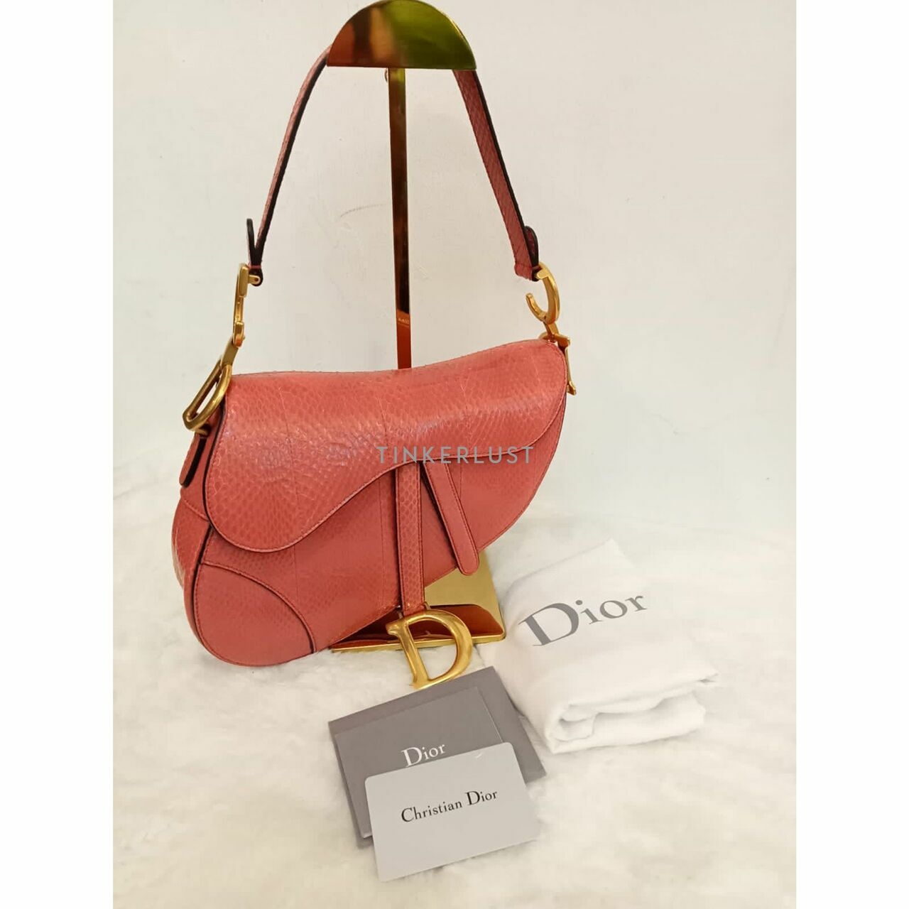 Christian Dior Saddle Medium Snakeskin 2019 Shoulder Bag