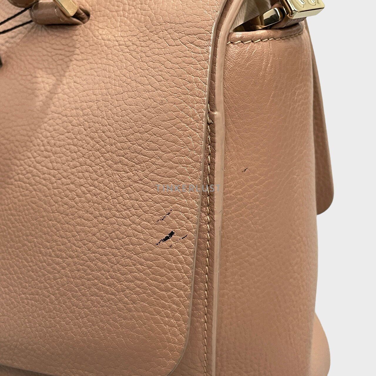 Aigner Nude Satchel