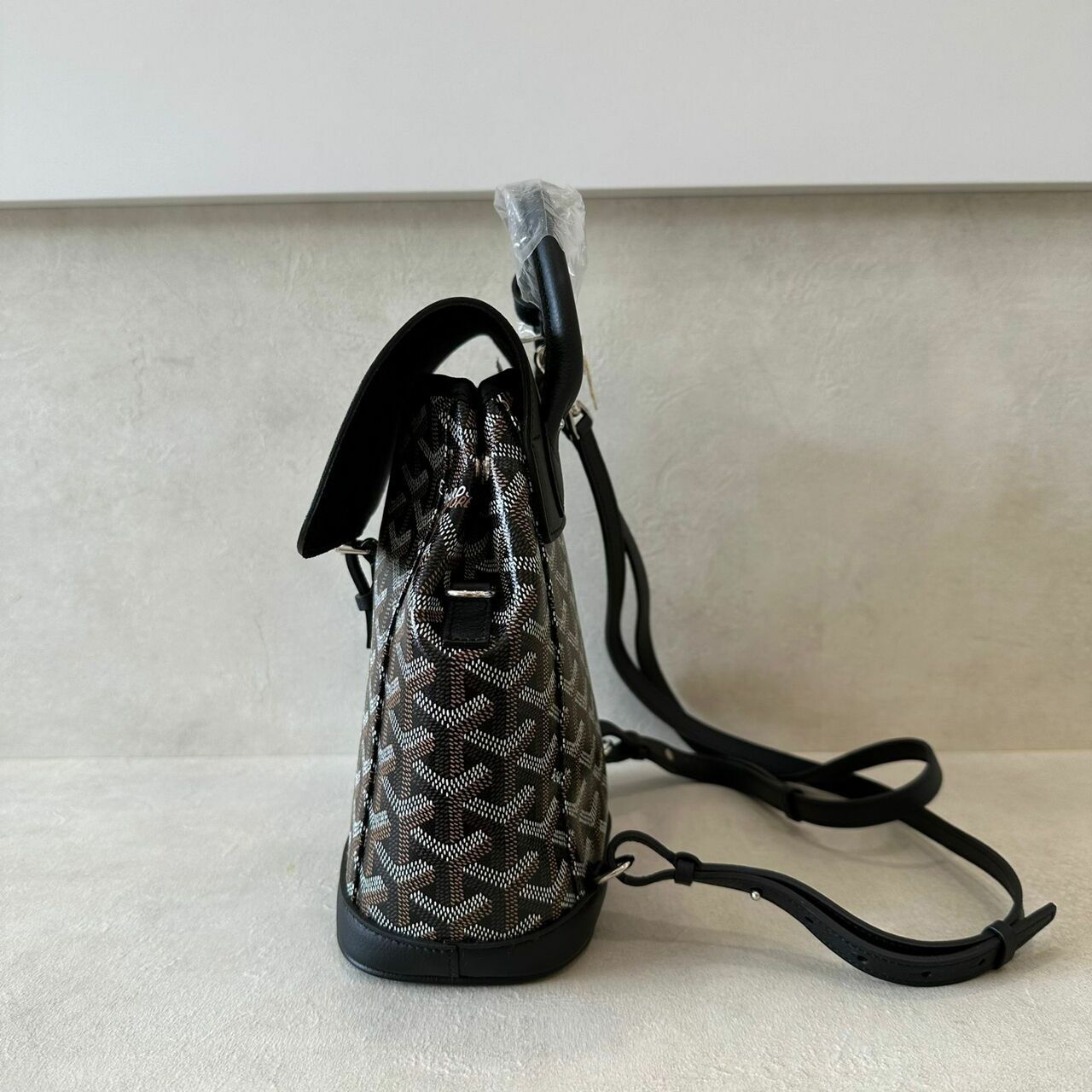 Goyard Mini Alpin Backpack Black 