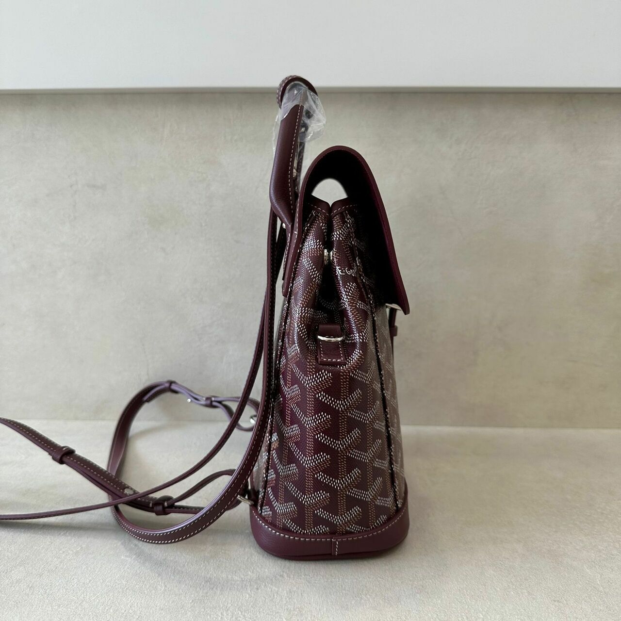 Goyard Mini Alpin Bordeaux Backpack