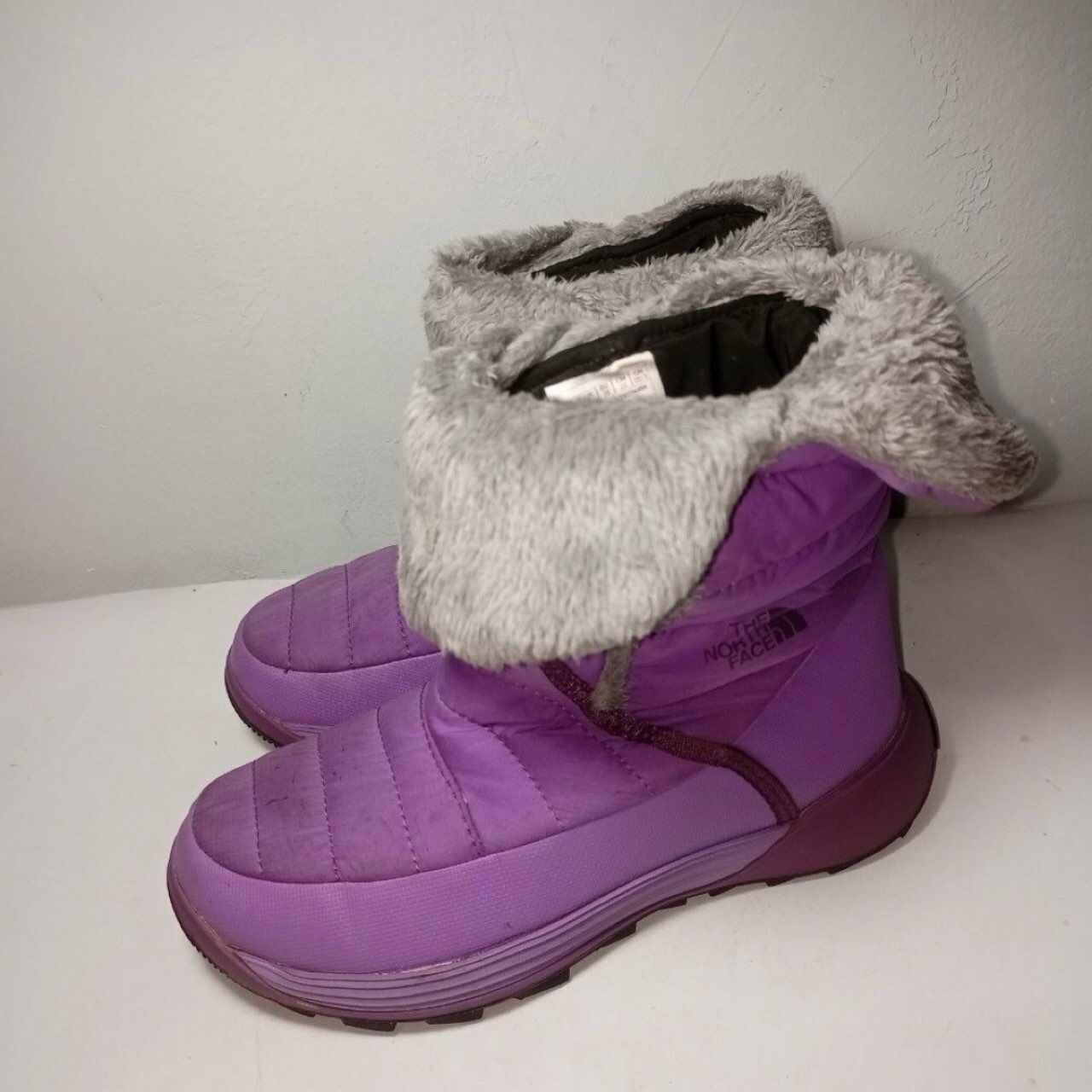 the north face Purple Boots