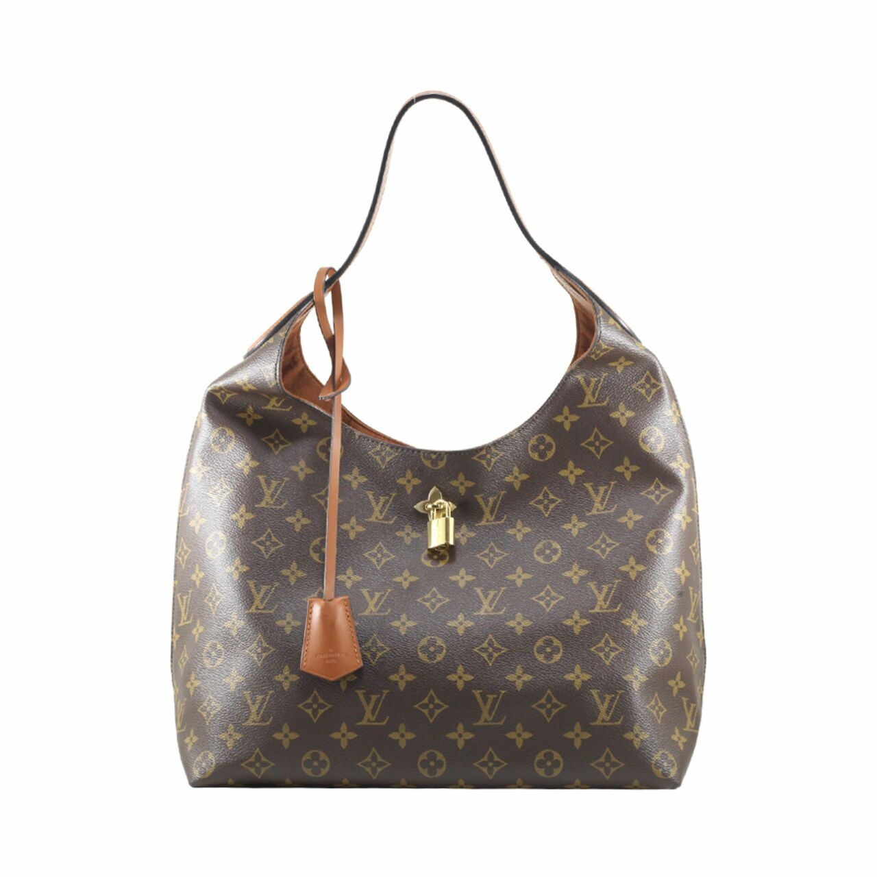 Louis Vuitton Brown HandBag