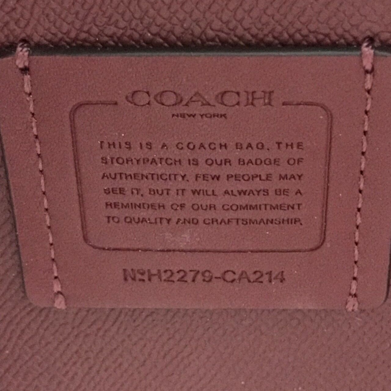 Coach Mollie Bucket Bag