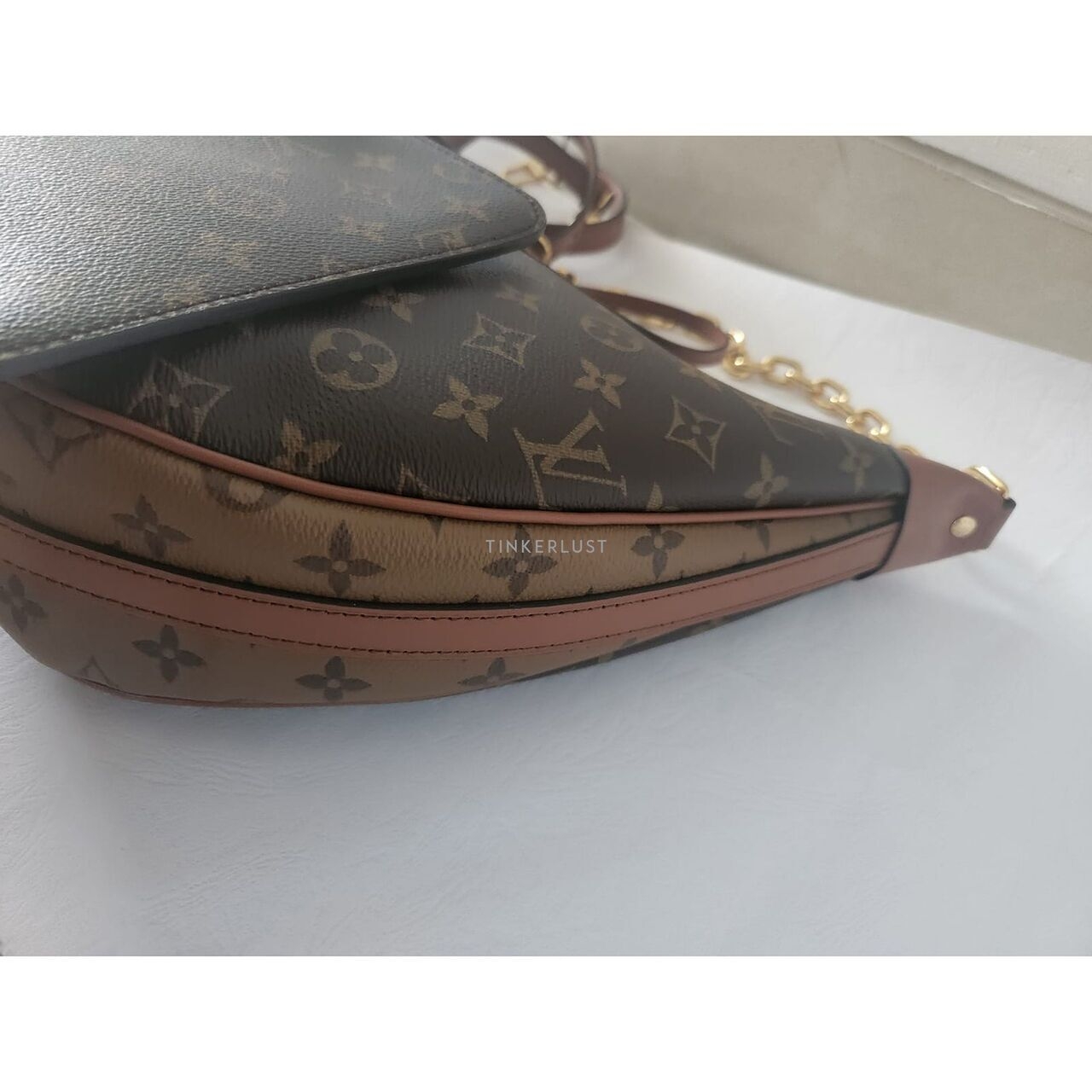 Louis Vuitton Loop Hobo Reverse Shoulder Bag