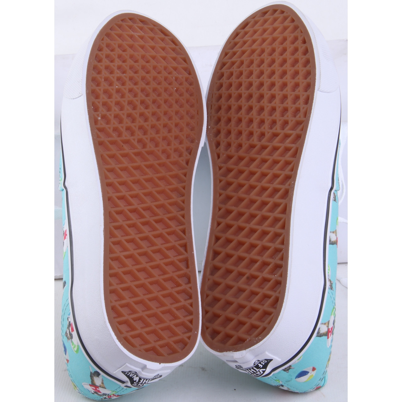 Vans Turquoise Cat Printed Sneakers